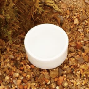 Water Dish